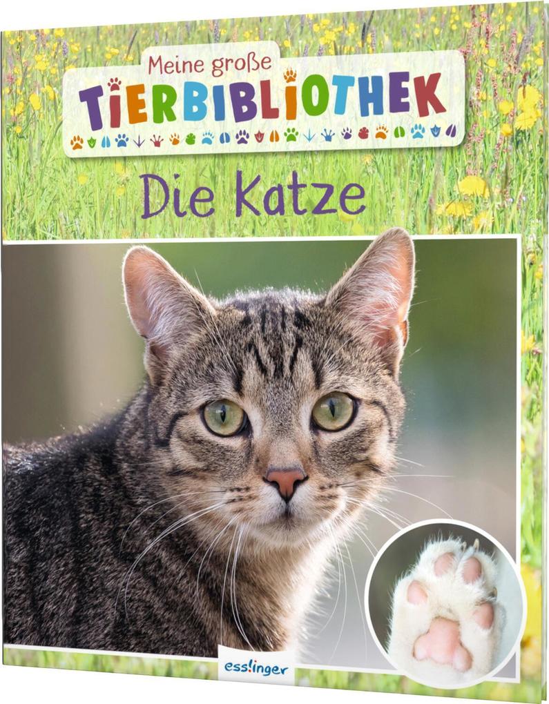 Produktbild: Meine große Tierbibliothek: Die Katze | Stéphanie Ledu-Frattini
