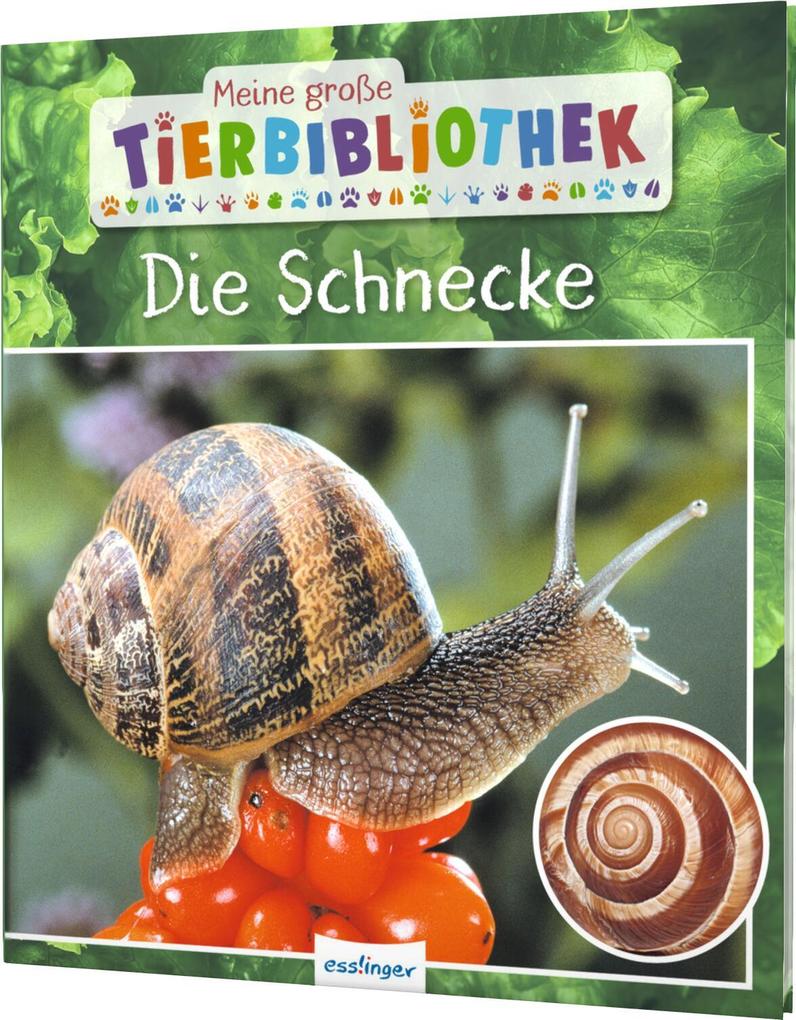 Produktbild: Meine große Tierbibliothek: Die Schnecke | Paul Starosta