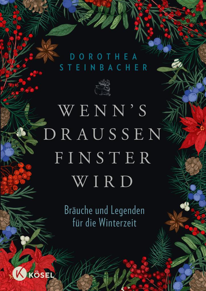 Produktbild: Wenn's draußen finster wird | Dorothea Steinbacher