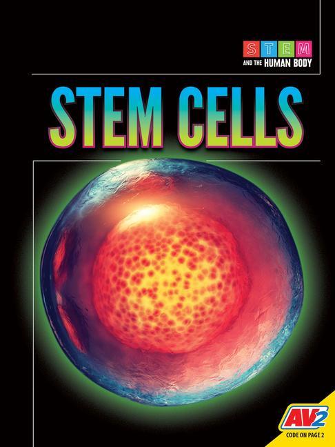 Stem Cells als Buch (gebunden)