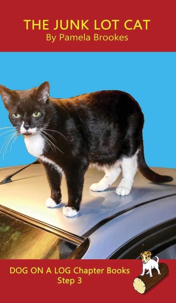 Produktbild: The Junk Lot Cat Chapter Book | Pamela Brookes, Tbd
