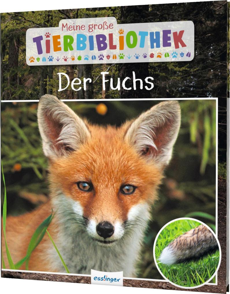 Weitere Ansicht: Meine große Tierbibliothek: Der Fuchs | Christian Havard
