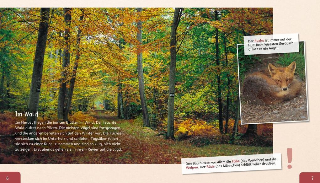 Weitere Ansicht: Meine große Tierbibliothek: Der Fuchs | Christian Havard