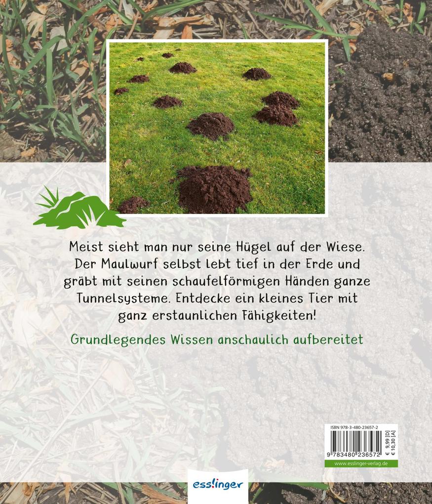 Weitere Ansicht: Meine große Tierbibliothek: Der Maulwurf | Jens Poschadel