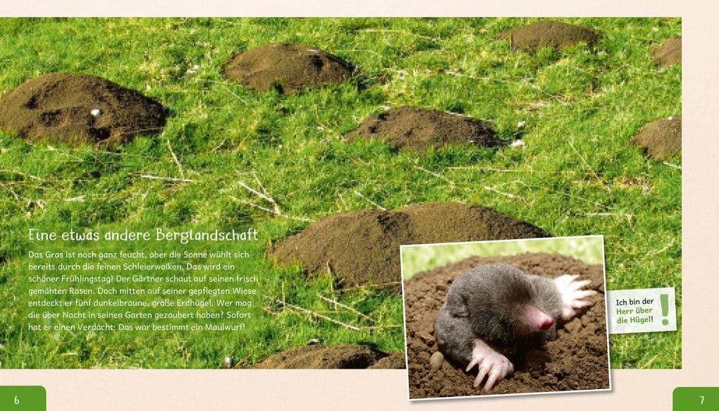 Weitere Ansicht: Meine große Tierbibliothek: Der Maulwurf | Jens Poschadel