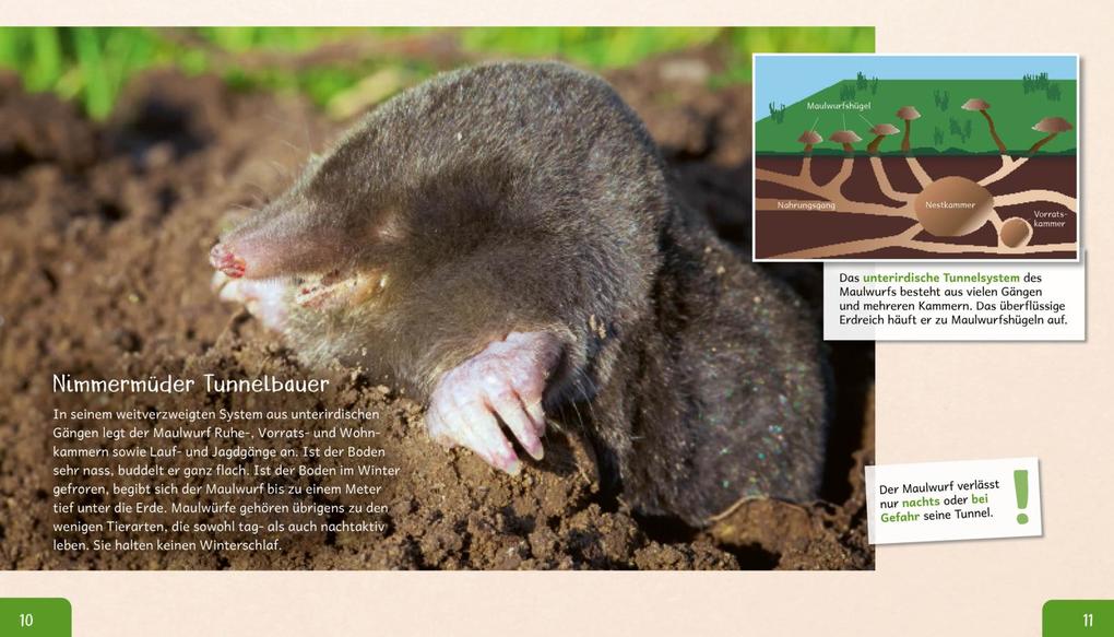 Weitere Ansicht: Meine große Tierbibliothek: Der Maulwurf | Jens Poschadel