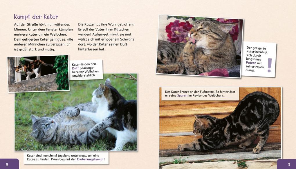 Weitere Ansicht: Meine große Tierbibliothek: Die Katze | Stéphanie Ledu-Frattini