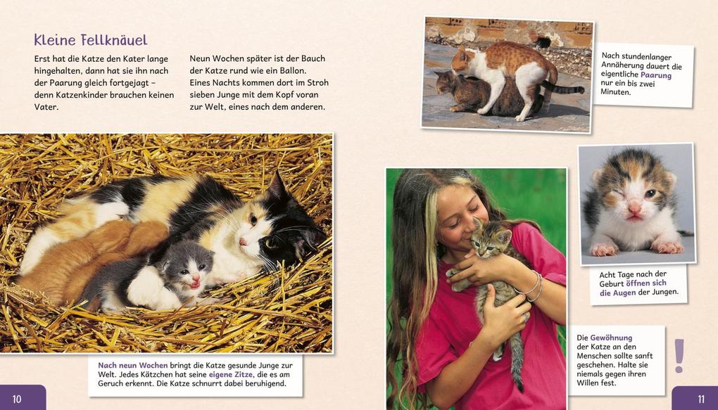 Weitere Ansicht: Meine große Tierbibliothek: Die Katze | Stéphanie Ledu-Frattini