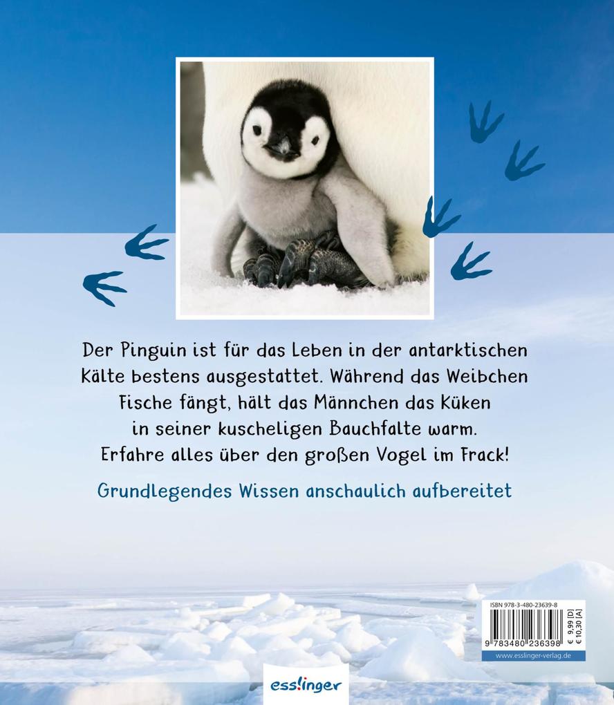 Weitere Ansicht: Meine große Tierbibliothek: Der Pinguin | Jens Poschadel