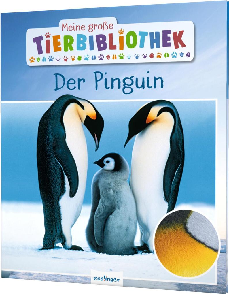 Weitere Ansicht: Meine große Tierbibliothek: Der Pinguin | Jens Poschadel