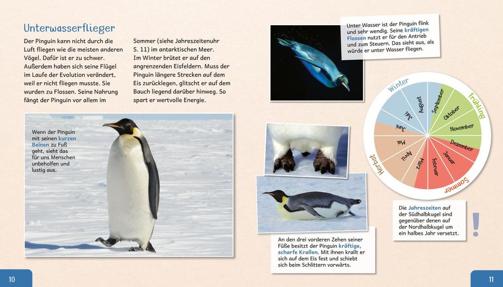 Weitere Ansicht: Meine große Tierbibliothek: Der Pinguin | Jens Poschadel