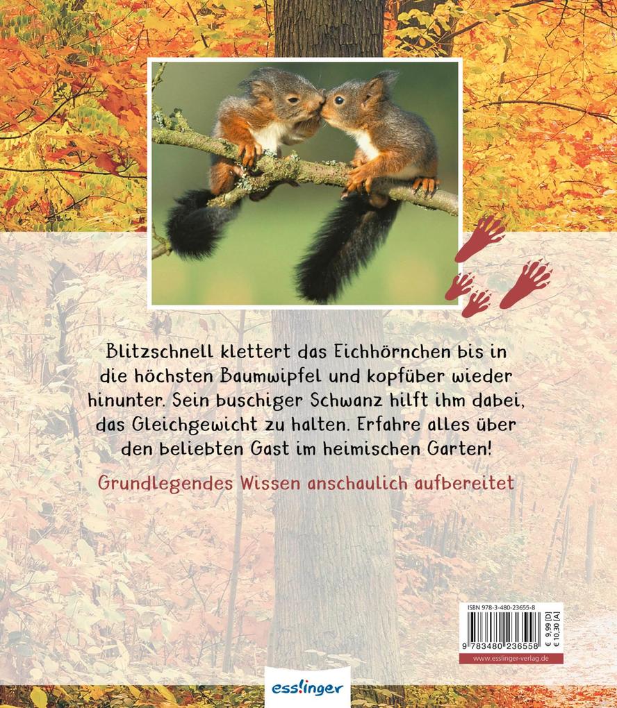Weitere Ansicht: Meine große Tierbibliothek: Das Eichhörnchen | Stéphanie Ledu-Frattini