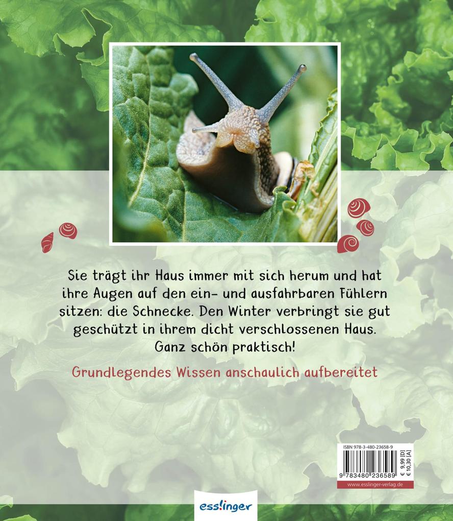 Weitere Ansicht: Meine große Tierbibliothek: Die Schnecke | Paul Starosta