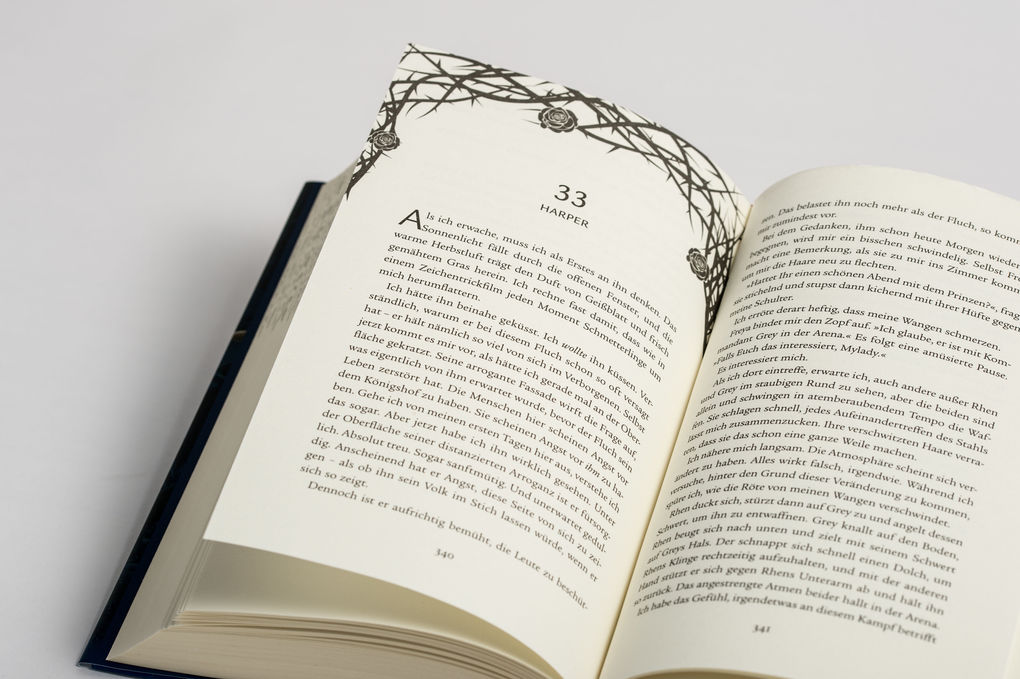Weitere Ansicht: Ein Fluch so ewig und kalt | Brigid Kemmerer