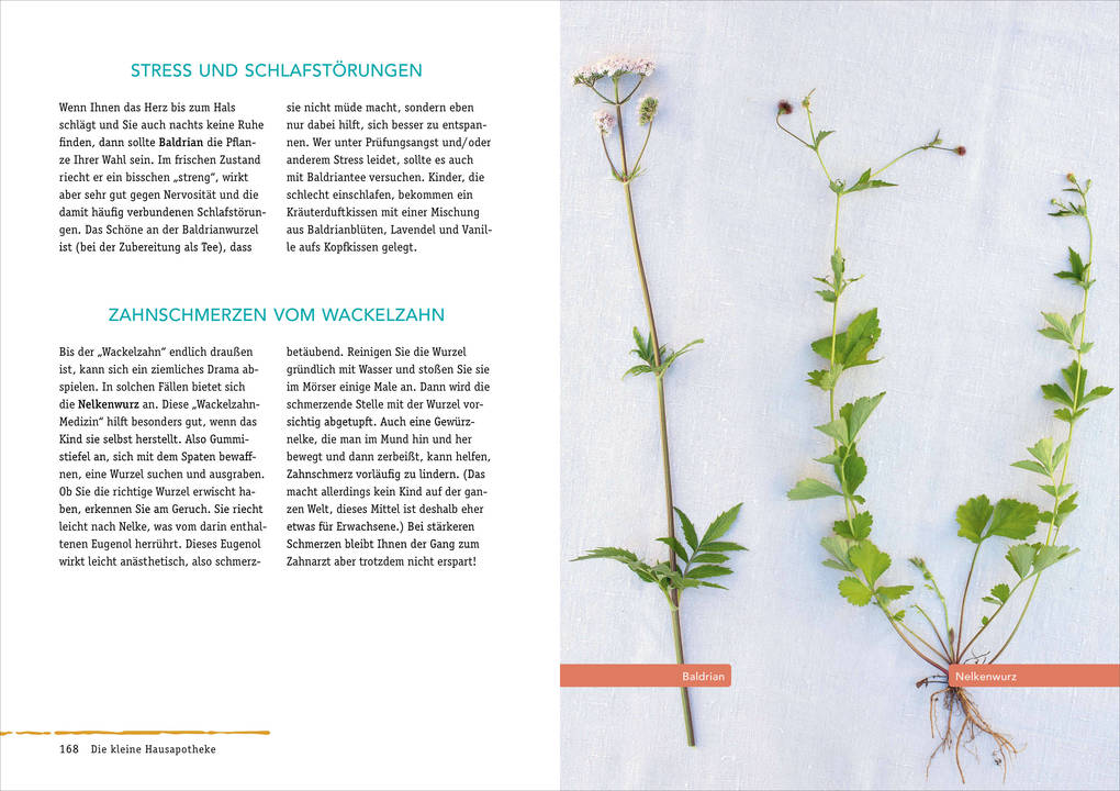 Weitere Ansicht: Sauerteig & Wadenwickel | Daniela Wattenbach