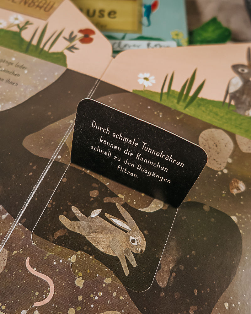 Weitere Ansicht: Mein Zuhause - Kaninchen, Fuchs und Adler | Clover Robin