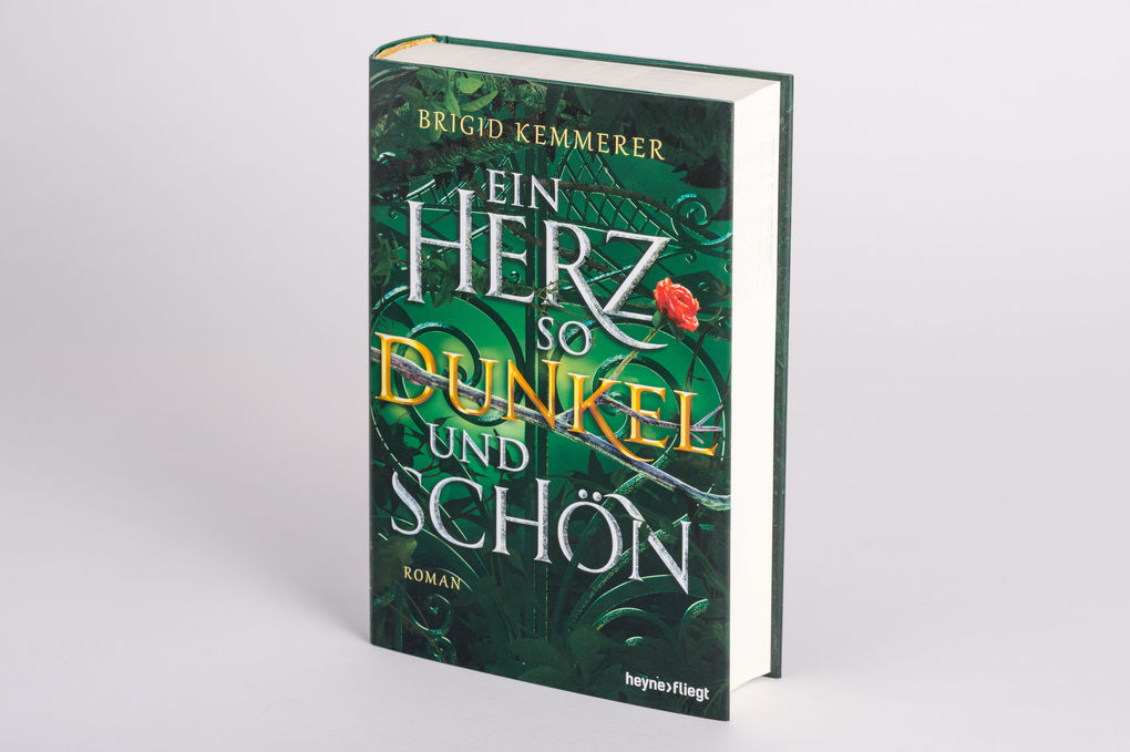Weitere Ansicht: Ein Herz so dunkel und schön | Brigid Kemmerer