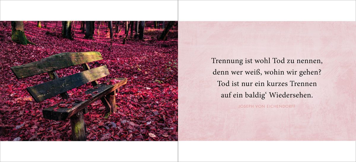 Weitere Ansicht: Die Liebe bleibt | Doris Huber
