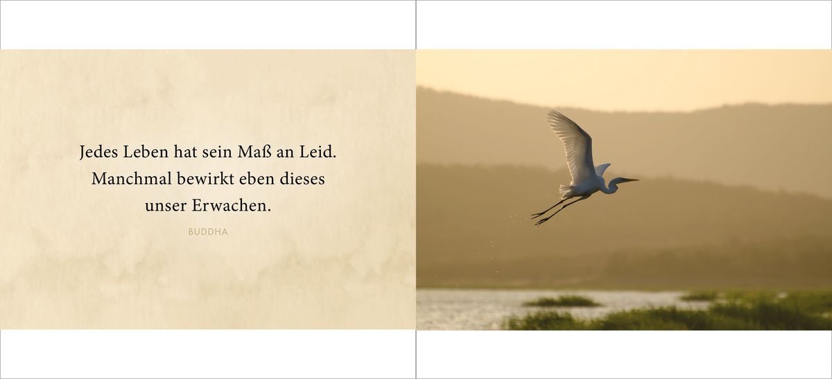 Weitere Ansicht: Die Liebe bleibt | Doris Huber