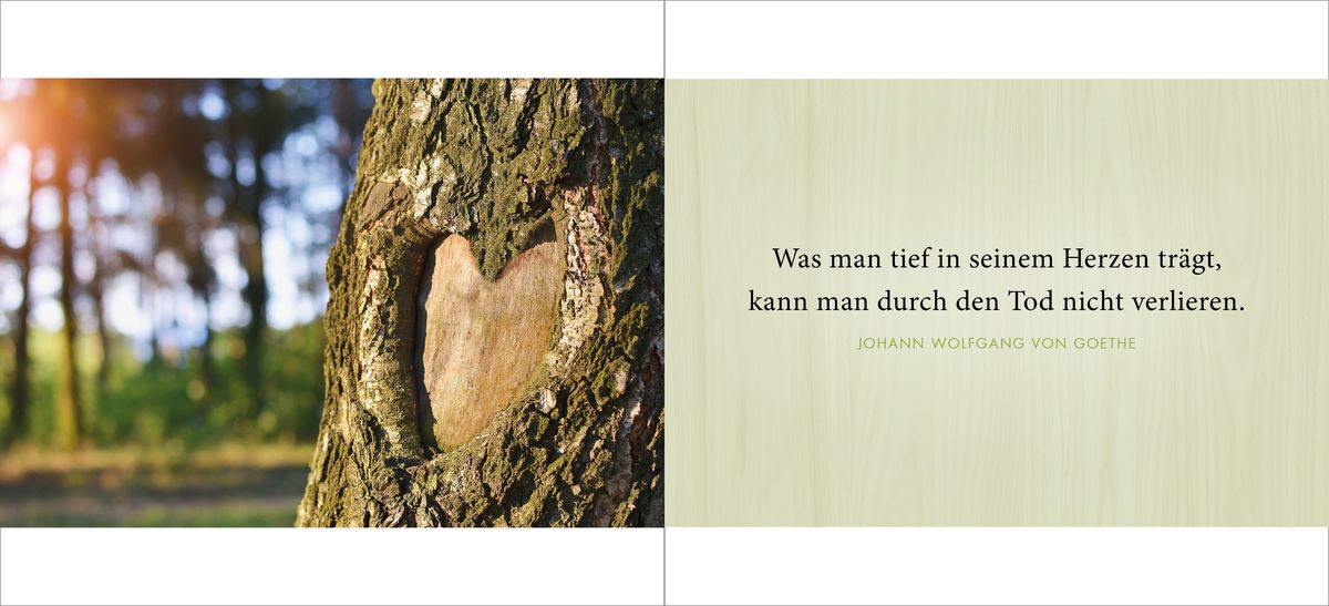 Weitere Ansicht: Die Liebe bleibt | Doris Huber