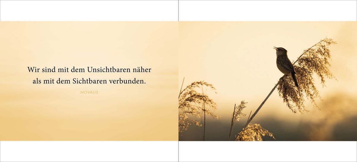 Weitere Ansicht: Die Liebe bleibt | Doris Huber
