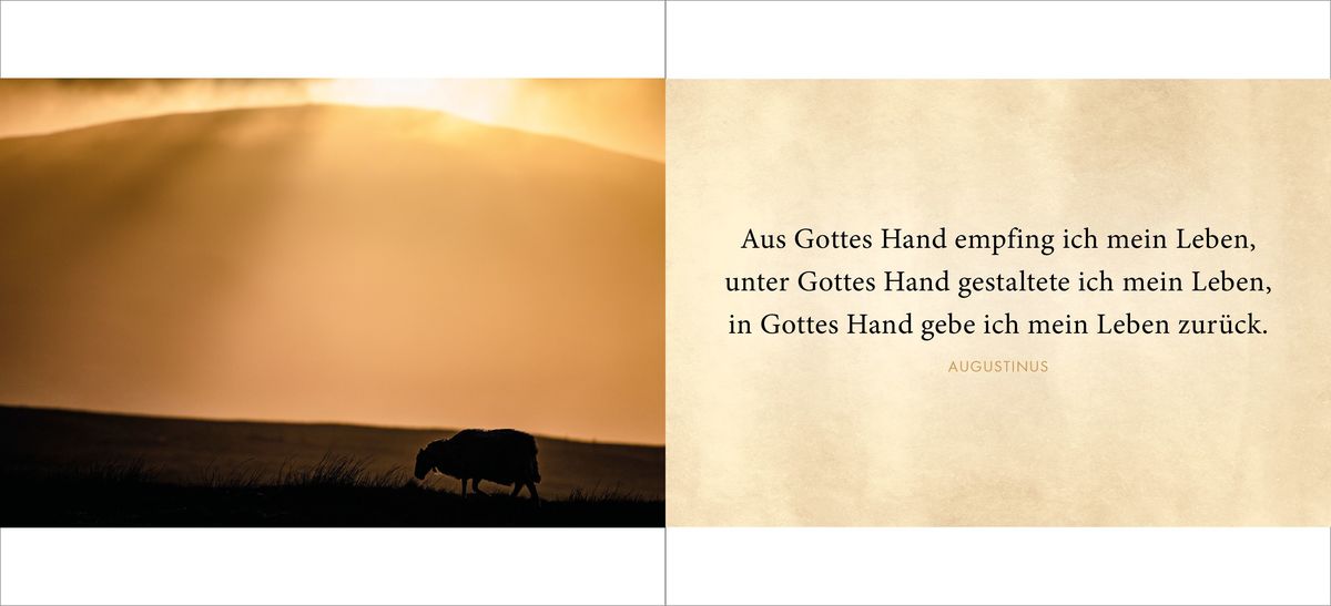 Weitere Ansicht: Die Liebe bleibt | Doris Huber
