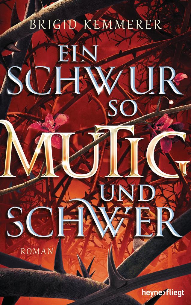 Produktbild: Ein Schwur so mutig und schwer | Brigid Kemmerer