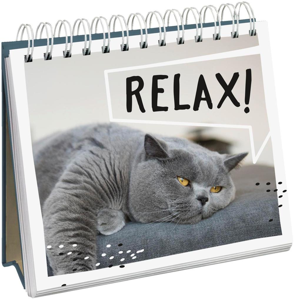 Weitere Ansicht: Cat philosophy