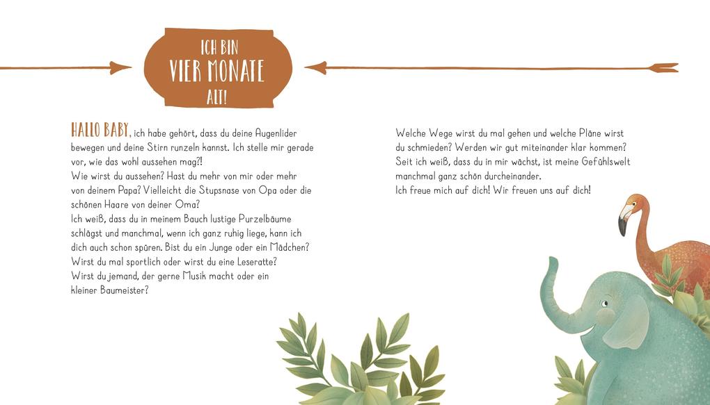 Weitere Ansicht: Mein Babyalbum | Pia Biehl