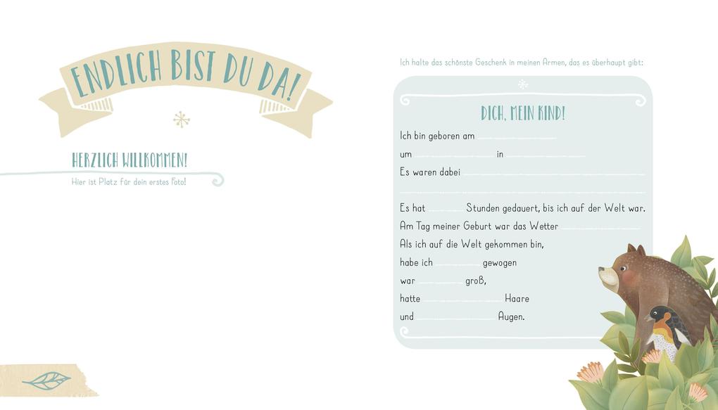 Weitere Ansicht: Mein Babyalbum | Pia Biehl