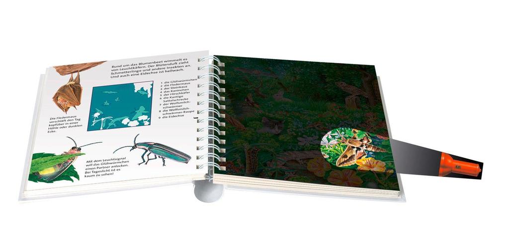 Weitere Ansicht: Nachts im Garten