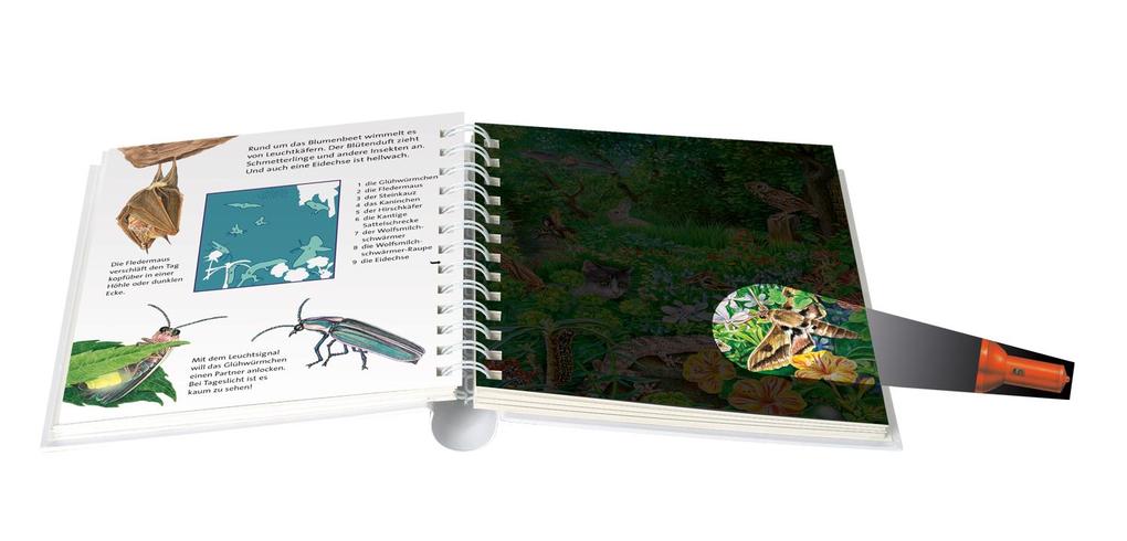 Weitere Ansicht: Nachts im Garten