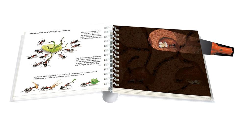 Weitere Ansicht: In den Nestern der Insekten | Claude Delafosse