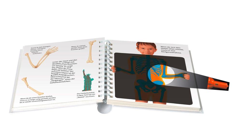 Weitere Ansicht: Wunderwelt Körper