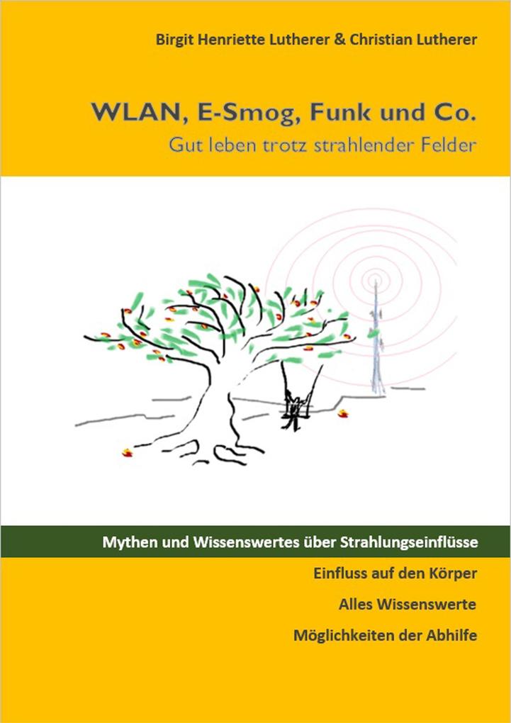 WLAN, E-Smog, Funk und Co. als eBook epub