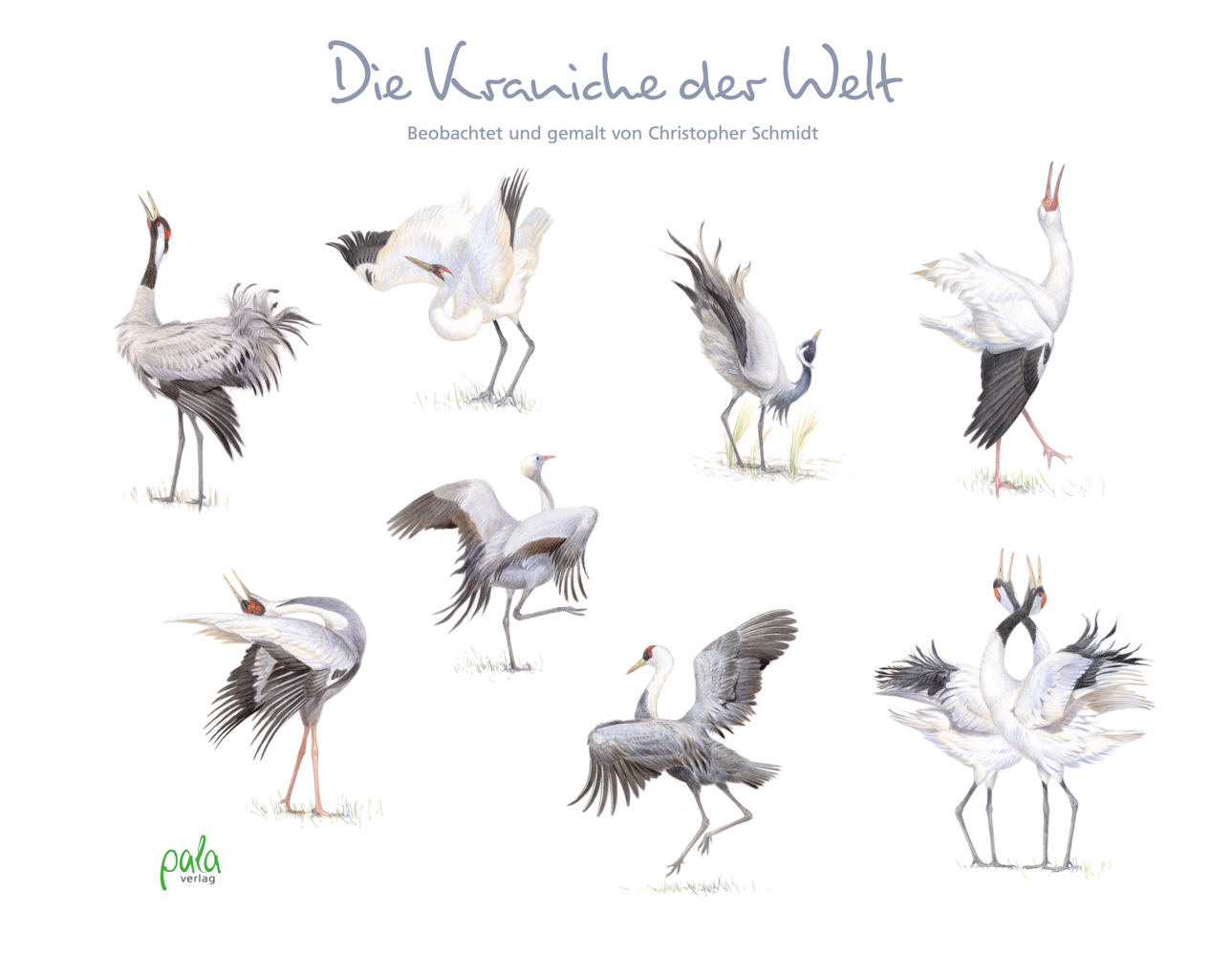 Produktbild: Die Kraniche der Welt | Christopher Schmidt