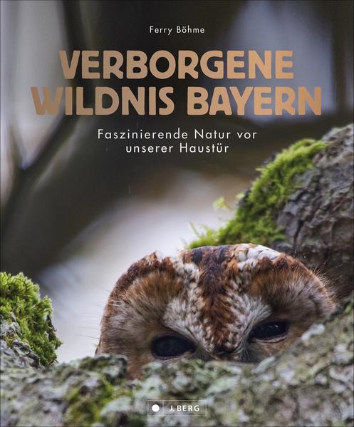 Produktbild: Verborgene Wildnis Bayern | Ferry Böhme
