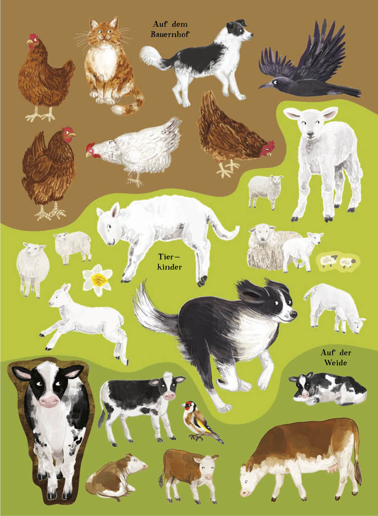 Weitere Ansicht: Mein Sach-Stickerbuch Natur - Bauernhoftiere