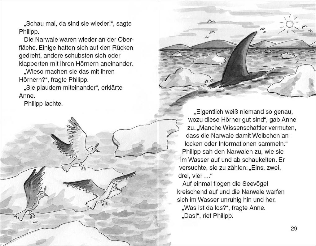 Weitere Ansicht: Das magische Baumhaus (Band 57) - Narwal in großer Gefahr | Mary Pope Osborne