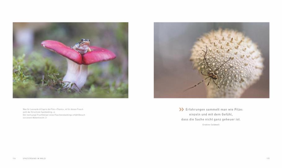 Weitere Ansicht: Verborgene Wildnis Bayern | Ferry Böhme