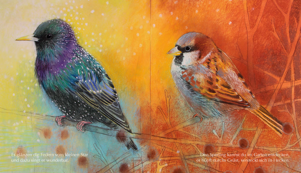 Weitere Ansicht: Mein kleines Buch der Vögel | Loes Botman