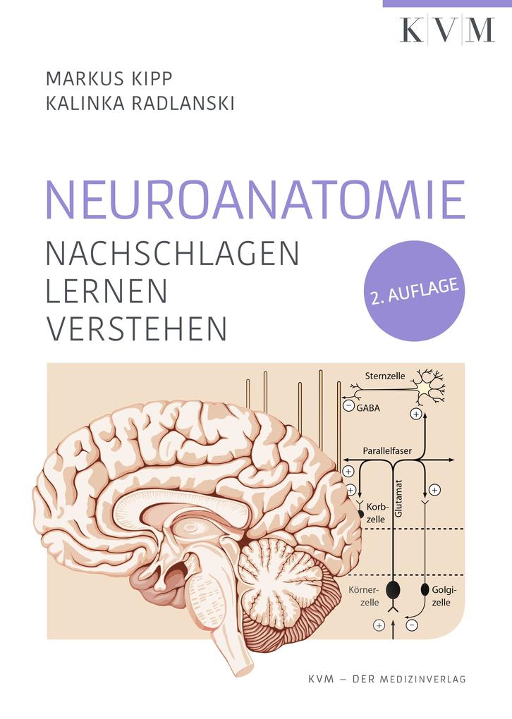 Produktbild: Neuroanatomie | Markus Kipp, Kalinka Radlanski