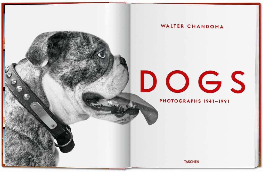 Weitere Ansicht: Walter Chandoha. Dogs. Photographs 1941-1991