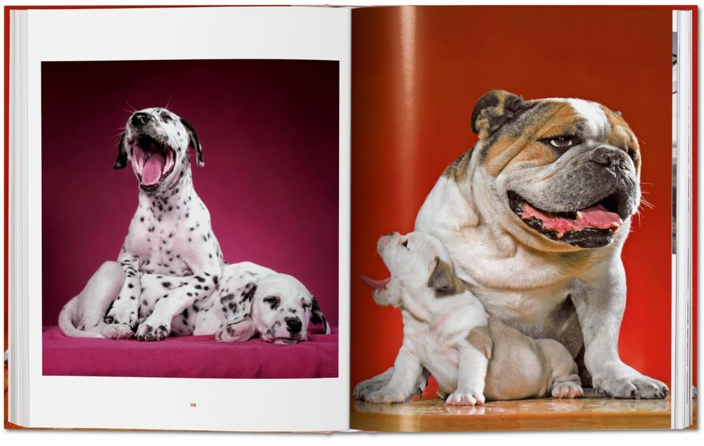 Weitere Ansicht: Walter Chandoha. Dogs. Photographs 1941-1991