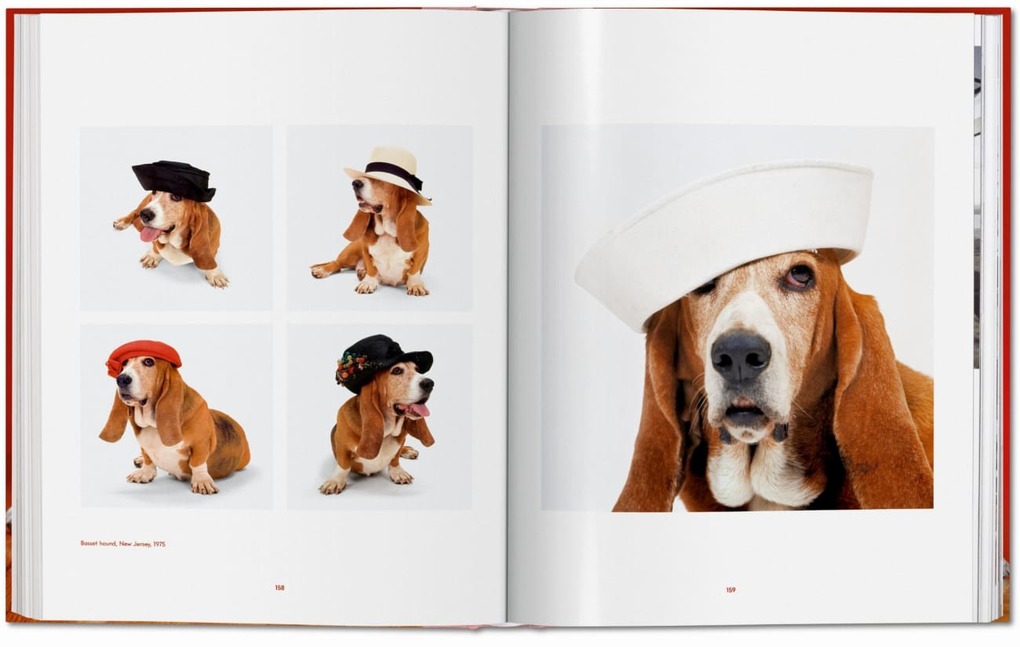 Weitere Ansicht: Walter Chandoha. Dogs. Photographs 1941-1991