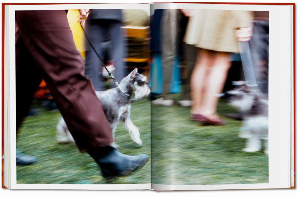 Weitere Ansicht: Walter Chandoha. Dogs. Photographs 1941-1991