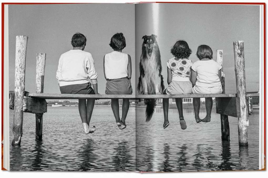 Weitere Ansicht: Walter Chandoha. Dogs. Photographs 1941-1991