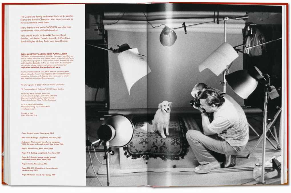 Weitere Ansicht: Walter Chandoha. Dogs. Photographs 1941-1991