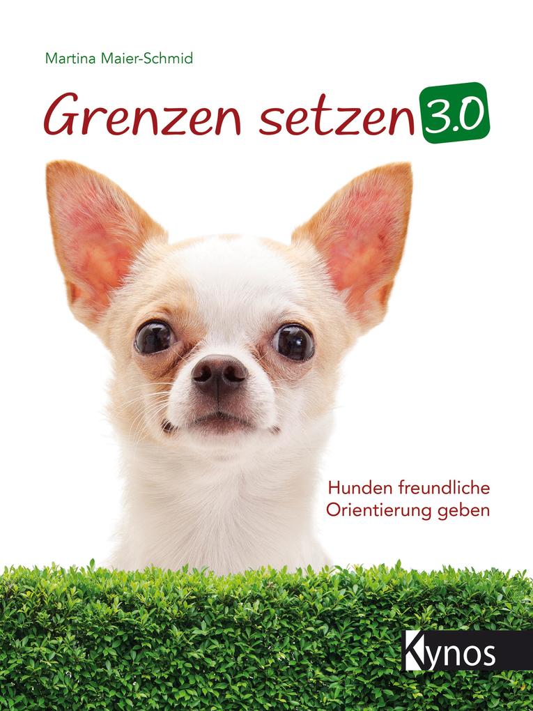Produktbild: Grenzen setzen 3.0 | Martina Maier-Schmid