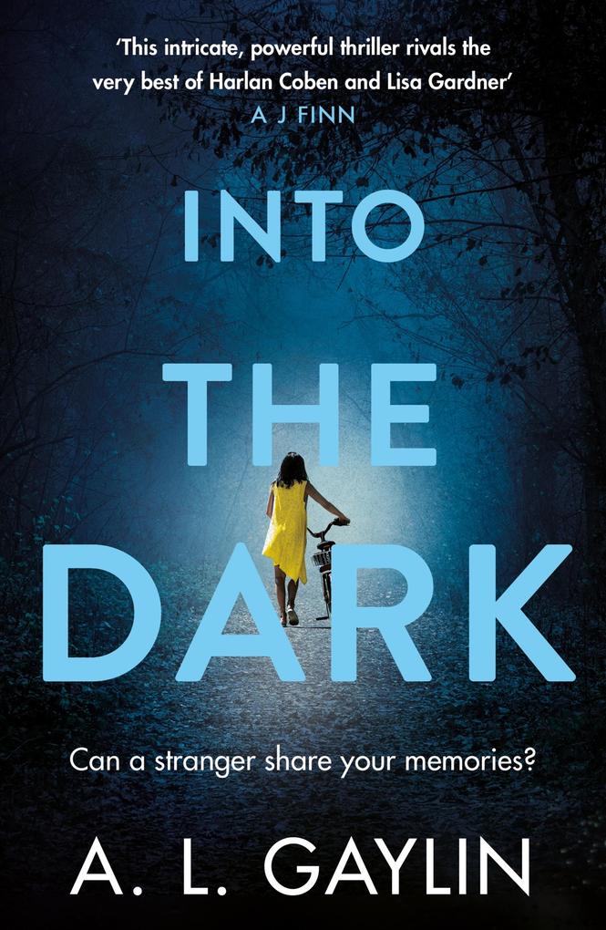 Produktbild: Into The Dark | A. L. Gaylin